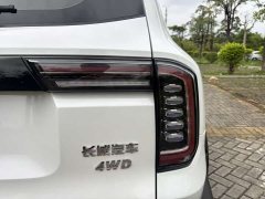 Havaldog 2022 2.0T DCT four-wheel drive Chinese pastoral dog hunting version - ფოტო 15