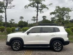 Havaldog 2022 2.0T DCT four-wheel drive Chinese pastoral dog hunting version - ფოტო 16