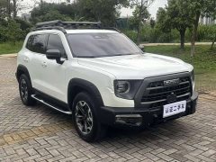 Havaldog 2022 2.0T DCT four-wheel drive Chinese pastoral dog hunting version - ფოტო 3
