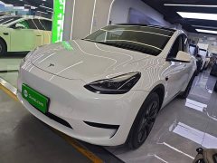 Tesla Model Y Rear-Wheel Drive - ფოტო 1