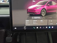 Tesla Model Y Rear-Wheel Drive - ფოტო 12