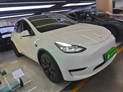 Tesla Model Y Rear-Wheel Drive - ფოტო 4