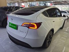 Tesla Model Y Rear-Wheel Drive - ფოტო 7