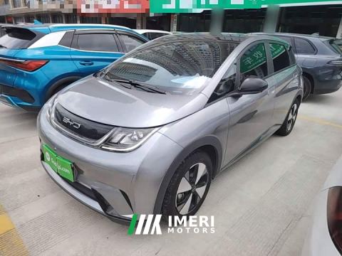 2023 BYD Dolphin 420km Fashion Edition