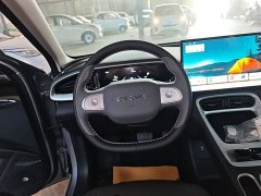 Geely Star Wish 310km Dream Edition - ფოტო 11