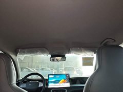 Geely Star Wish 310km Dream Edition - ფოტო 18