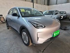 Geely Star Wish 310km Dream Edition - ფოტო 4