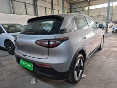 Geely Star Wish 310km Dream Edition - ფოტო 7