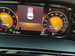 Volkswagen Viloran 380TSI Zunchi Edition - ფოტო 12