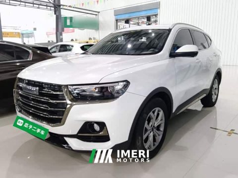 2023 Haval H6 2021 National Trend 1.5T Automatic Champion Edition - ავტომობილი ჩინეთიდან