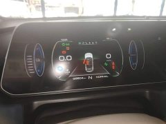 ORA Good Cat Morandi Edition 400km Standard Range Deluxe Type LFP Battery - ფოტო 8