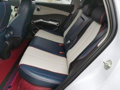 BYD Yuan Plus 430KM Premium Edition - ფოტო 17