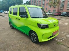 Wuling Zhiguang New Energy 201km Comfort - ფოტო 4
