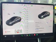Tesla Model 3 2020 Facelift Standard Range RWD Upgrade - ფოტო 12