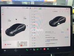 Tesla Model 3 2020 Facelift Standard Range RWD Upgrade - ფოტო 13