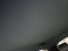 BYD Seagull Smart Drive 305km Vitality Edition - ფოტო 18