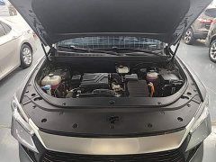 BYD Song Pro New Energy 2024 DM-i 110KM Glory Edition Exceed - ფოტო 20
