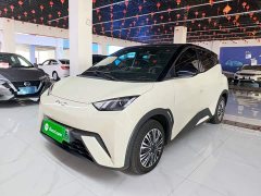 BYD Seagull 2025 305km Vitality Edition - ფოტო 1