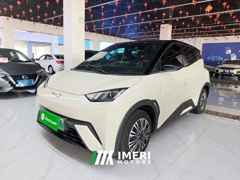 2024 BYD Seagull 305km Vitality Edition