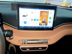 BYD Seagull 2025 305km Vitality Edition - ფოტო 13