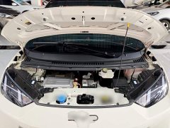 BYD Seagull 2025 305km Vitality Edition - ფოტო 20