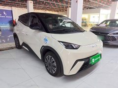 BYD Seagull 2025 305km Vitality Edition - ფოტო 4