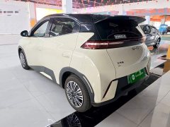 BYD Seagull 2025 305km Vitality Edition - ფოტო 5