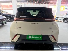 BYD Seagull 2025 305km Vitality Edition - ფოტო 6