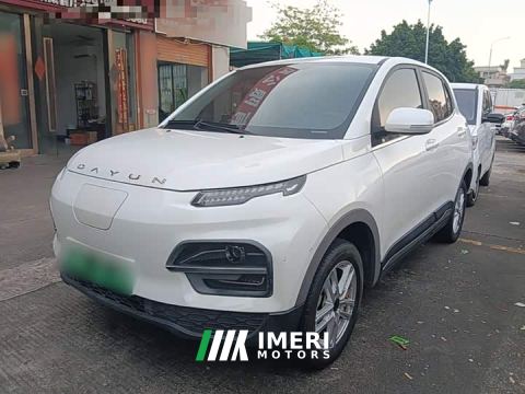 2022 Dayun Yuetiger 30.66kWh Two-Wheel Drive Standard Edition