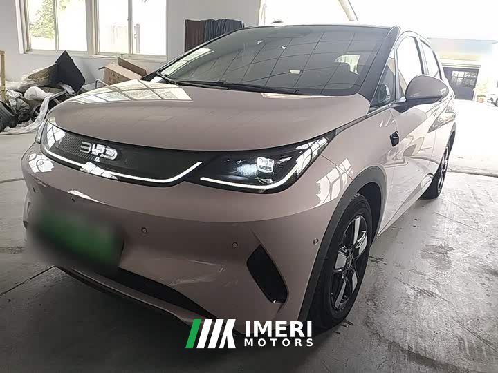 BYD Dolphin Smart Drive 410km Fashion Edition - ავტომობილი ჩინეთიდან