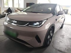 BYD Dolphin Smart Drive 410km Fashion Edition - ფოტო 1