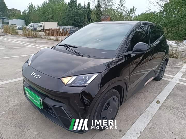 BYD Seagull Vitality Edition - ავტომობილი ჩინეთიდან