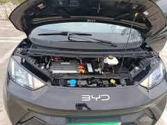 BYD Seagull Vitality Edition - ფოტო 20