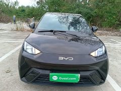 BYD Seagull Vitality Edition - ფოტო 3
