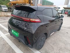 BYD Seagull Vitality Edition - ფოტო 7