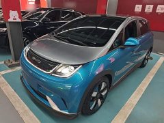 BYD Dolphin 401km Knight Edition - ფოტო 1