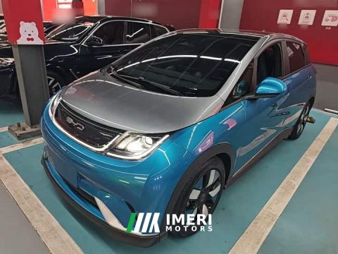 2023 BYD Dolphin 401km Knight Edition