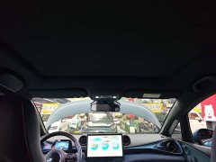 BYD Dolphin 401km Knight Edition - ფოტო 18