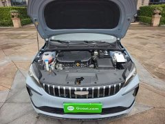 Geely Binrui 2024 Binrui COOL 1.5T DCT Dragon Ascend Edition - ფოტო 20