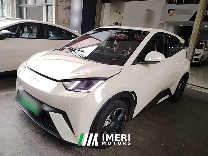 BYD Seagull Glory Edition 405km Flying Edition