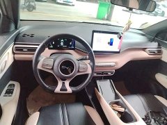 BYD Seagull Glory Edition 405km Flying Edition - ფოტო 10