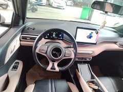 BYD Seagull Glory Edition 405km Flying Edition - ფოტო 11