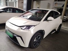 BYD Seagull Glory Edition 405km Flying Edition - ფოტო 2