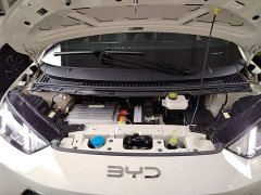 BYD Seagull Glory Edition 405km Flying Edition - ფოტო 20