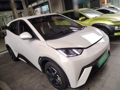 BYD Seagull Glory Edition 405km Flying Edition - ფოტო 4