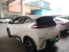 BYD Seagull Glory Edition 405km Flying Edition - ფოტო 5