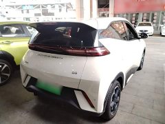 BYD Seagull Glory Edition 405km Flying Edition - ფოტო 7