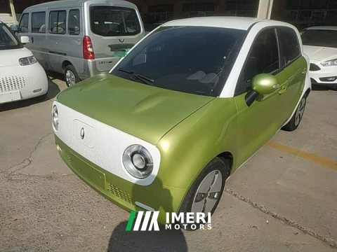 2021 Ora Black Cat 2022 301km Base Ternary Lithium - ავტომობილი ჩინეთიდან