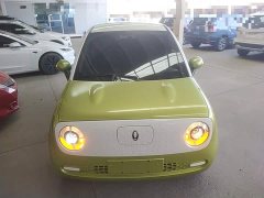 Ora Black Cat 2022 301km Base Ternary Lithium - ფოტო 3