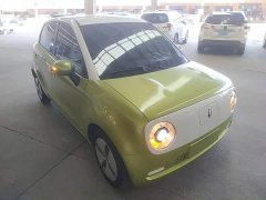 Ora Black Cat 2022 301km Base Ternary Lithium - ფოტო 4